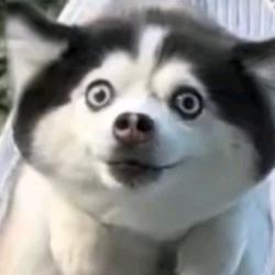 😱