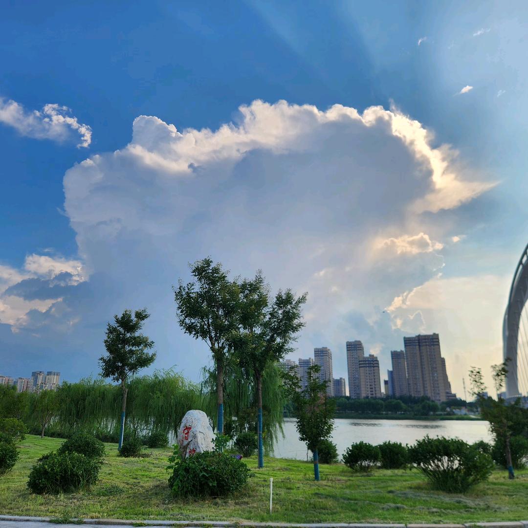 何以解忧唯有暴富