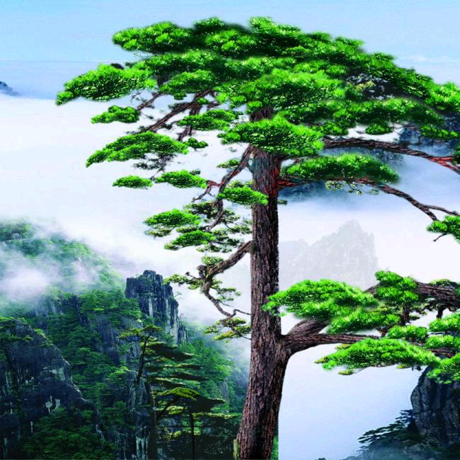 🌲