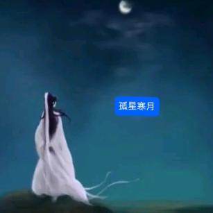 孤星寒月