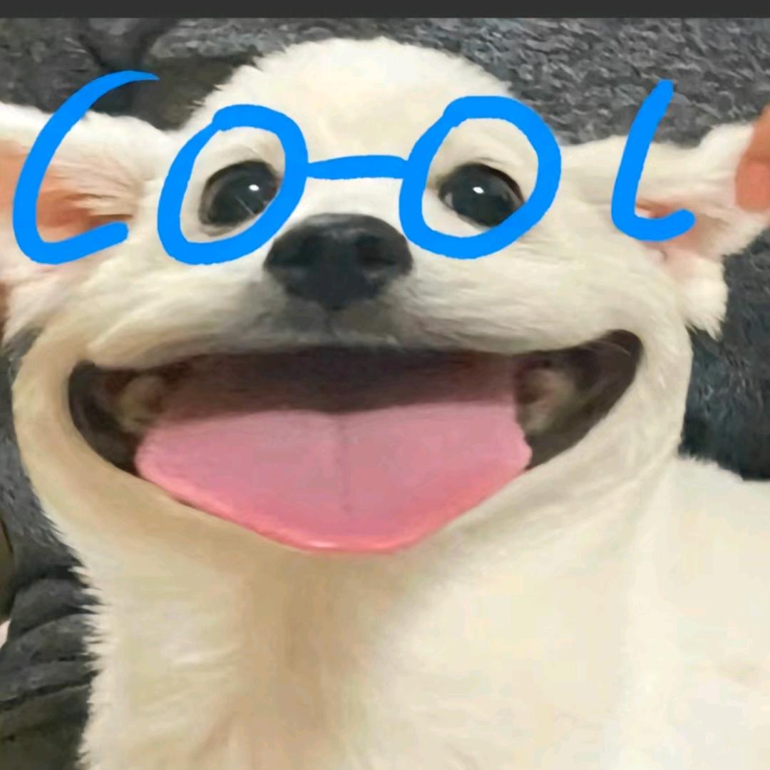 白薯条