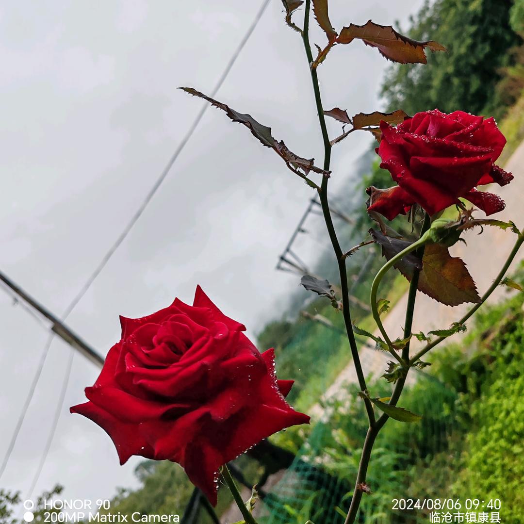 ঞৣঁ姐姐প᪲꧂