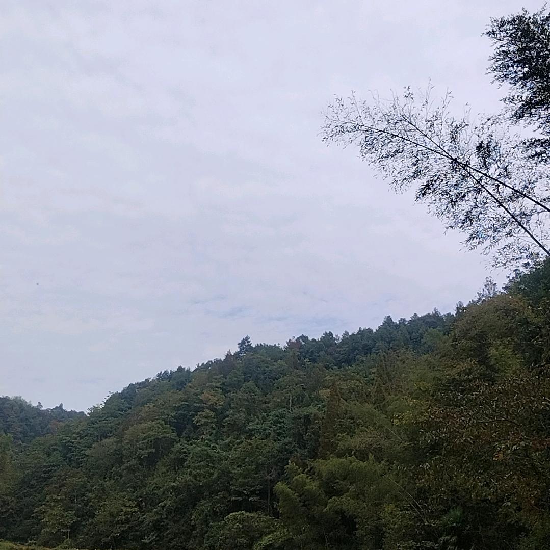 河南《李万三》