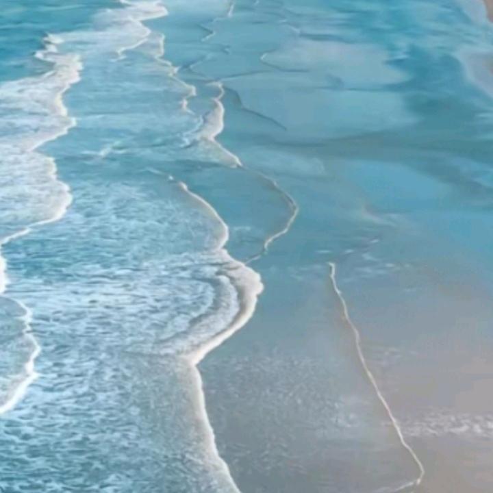 开心果