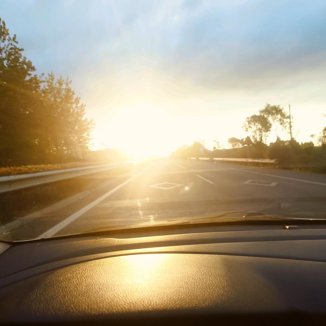 首夏寻芳也未迟