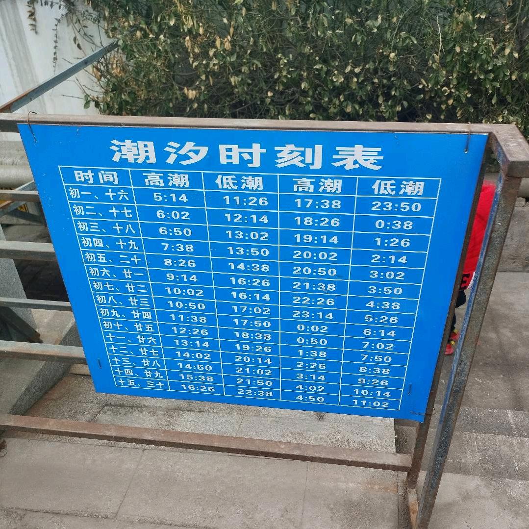 如果爱