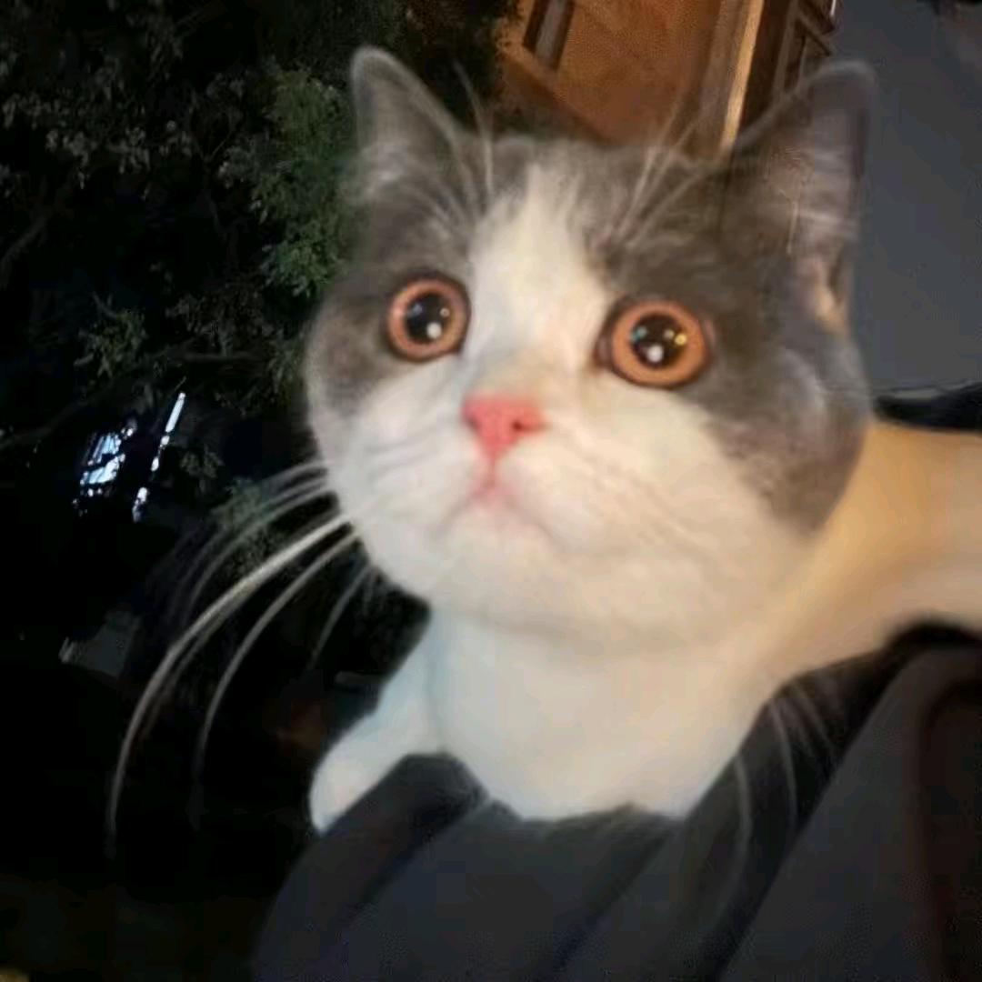 精彩小刘-