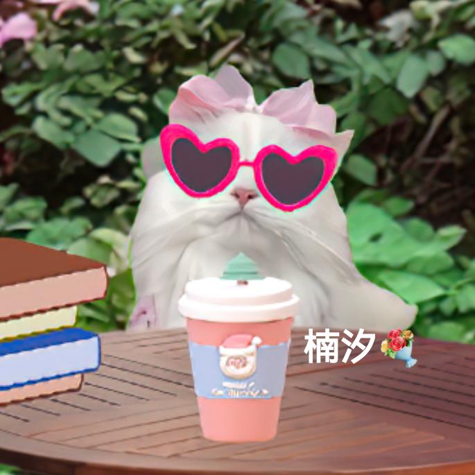 楠汐💐