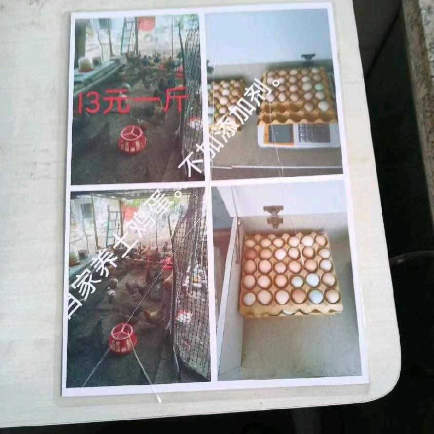 小虎不加添加剂。12元一斤自家养土鸡蛋