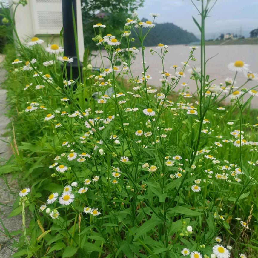 笑对人生，等你相约