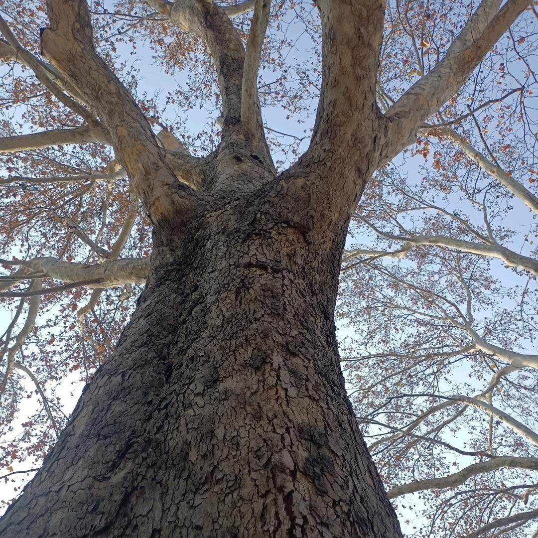 晴空万里大太阳