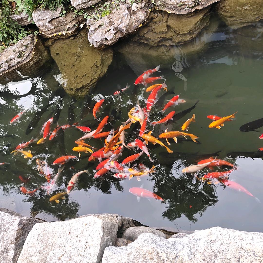济南雅室达装修（全屋定制）