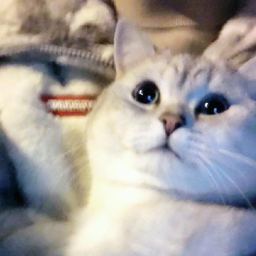 至冬最后的温柔