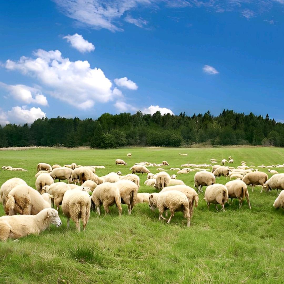 送人玫瑰，手留余香