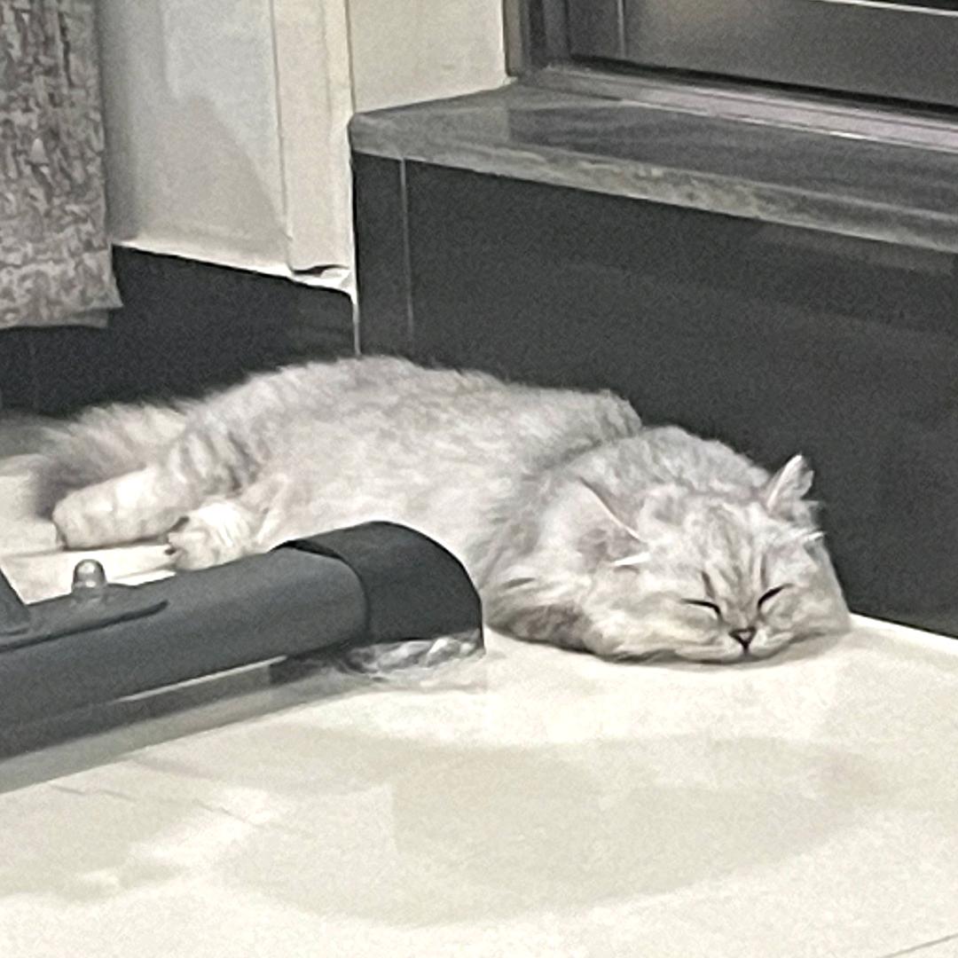 朝九晚五（逆水寒手游）