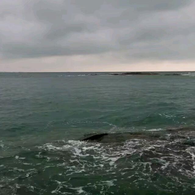 用户8856249341860'寄予清风