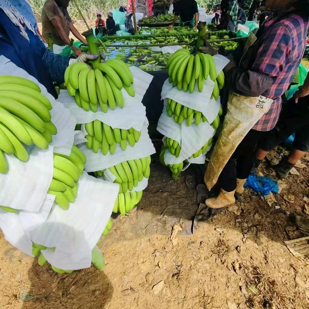 我的老公回来了。