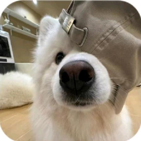 𝑀𝑖𝑐ℎ𝑎𝑒𝑙