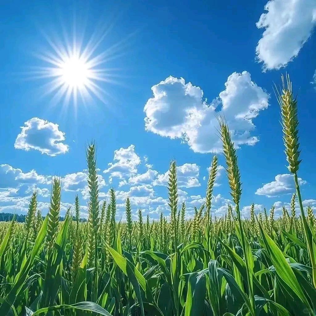 向往美好
