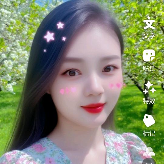 红玫瑰🌹