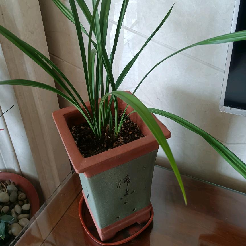 a百盛优选
