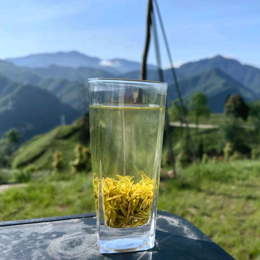 荥经县启迪茶业