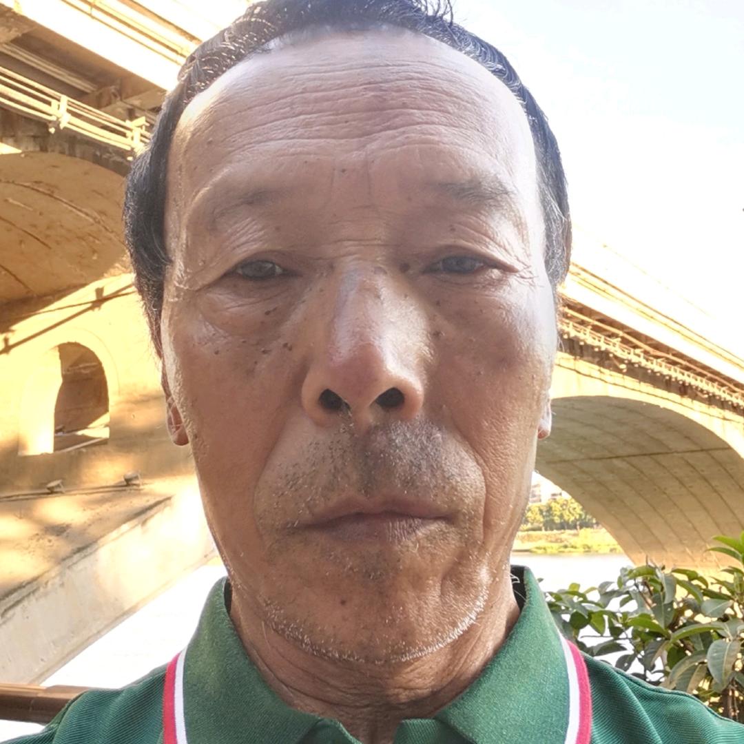 万年青