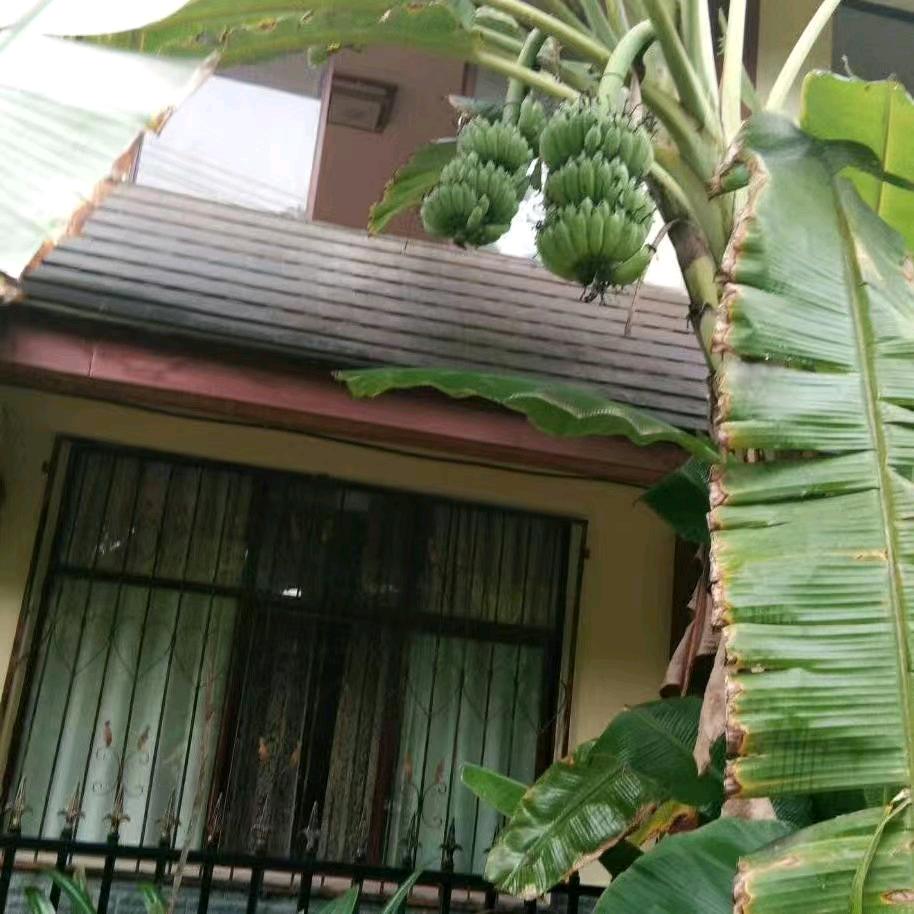 西华县郡达建筑工程