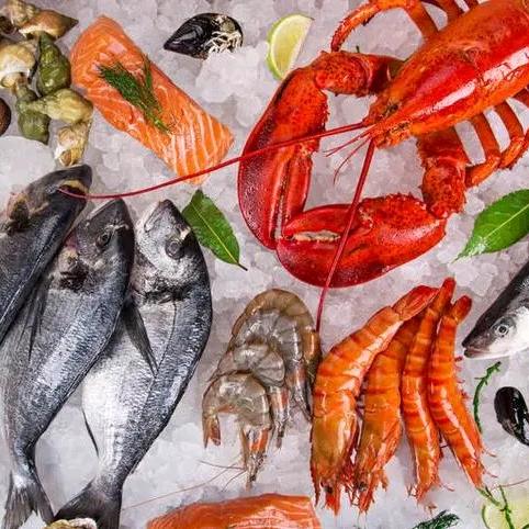 金乡县鲁粤海鲜