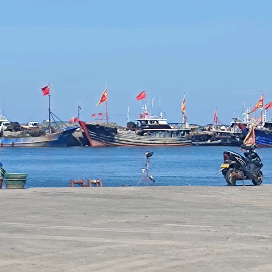云游八方