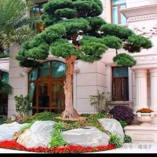 感恩相遇
