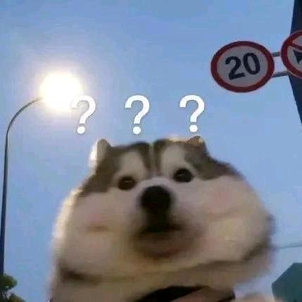 这把你玩大了