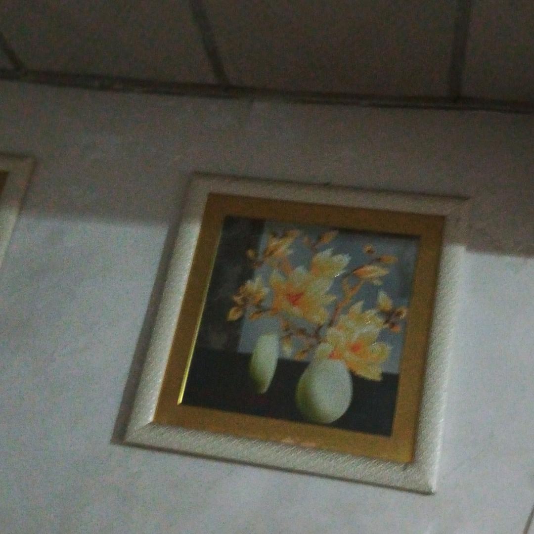 情可一梦