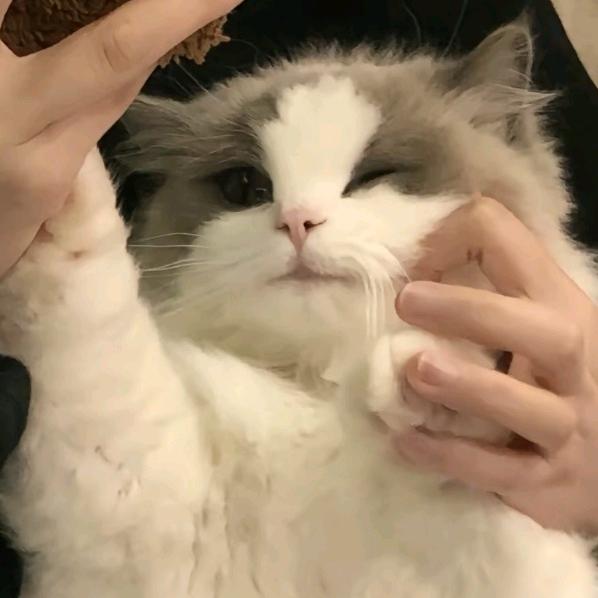 墨岚