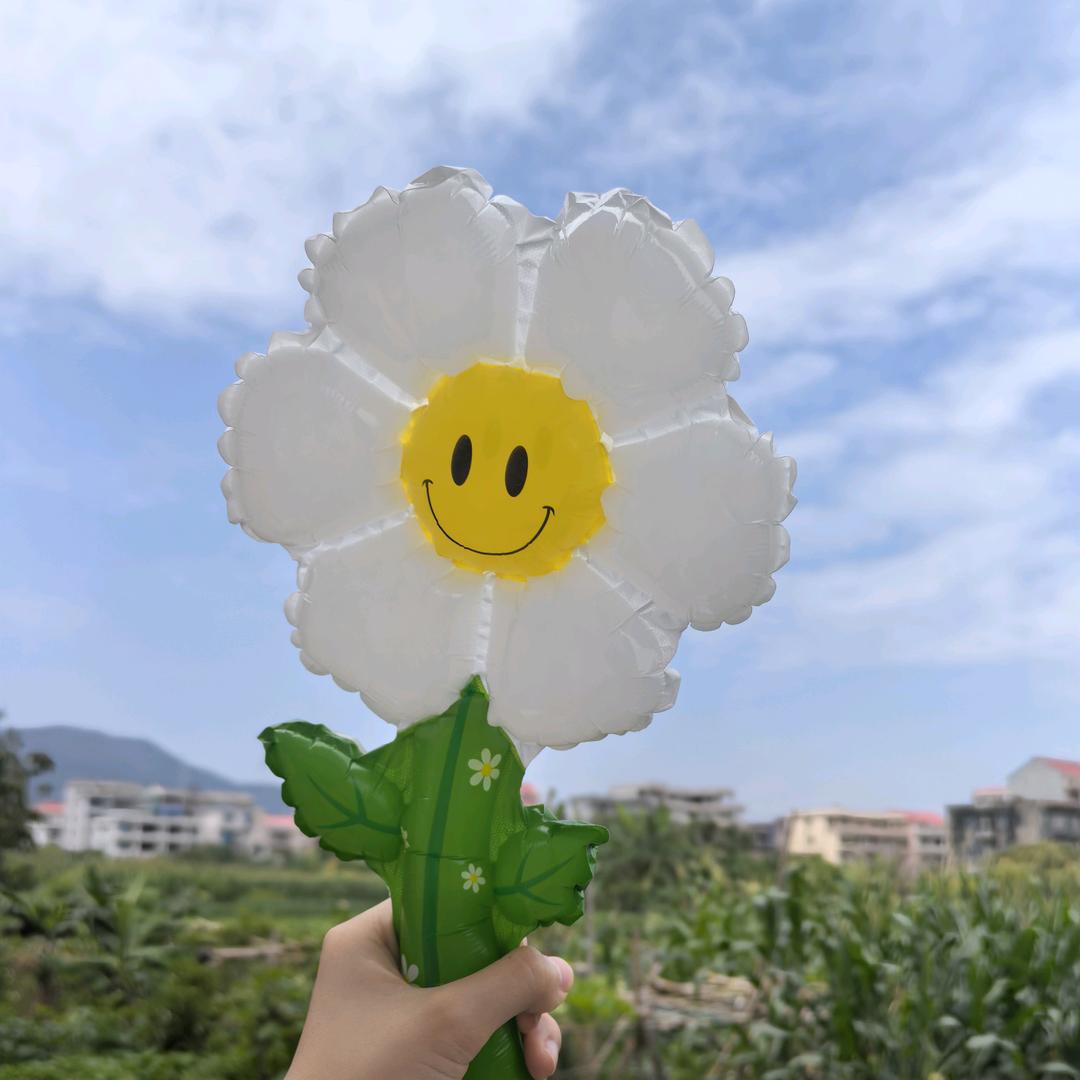 曝光体