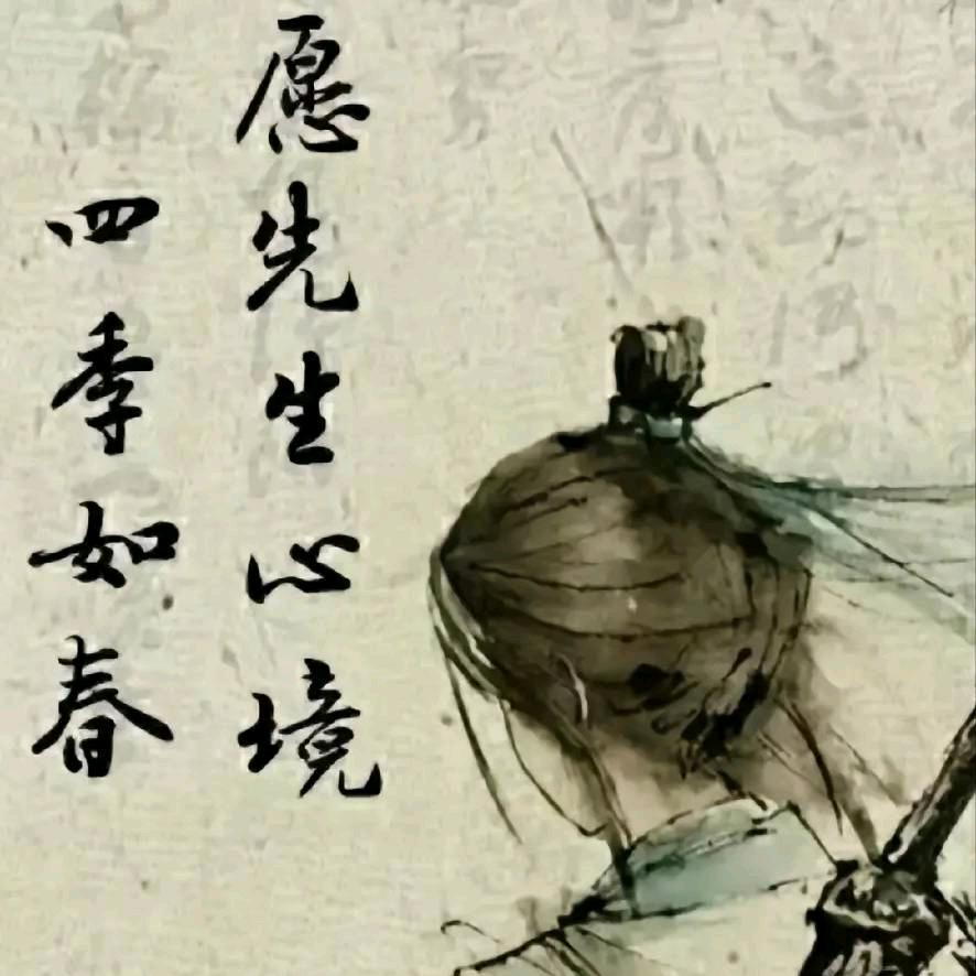 张能能