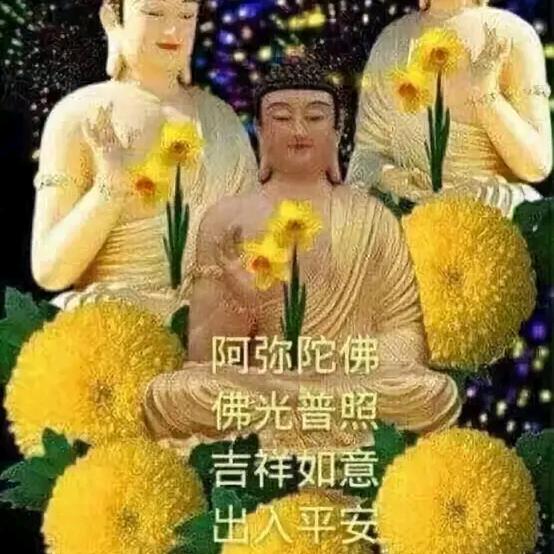 福慧花开