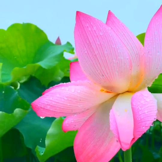 小武～中国行～