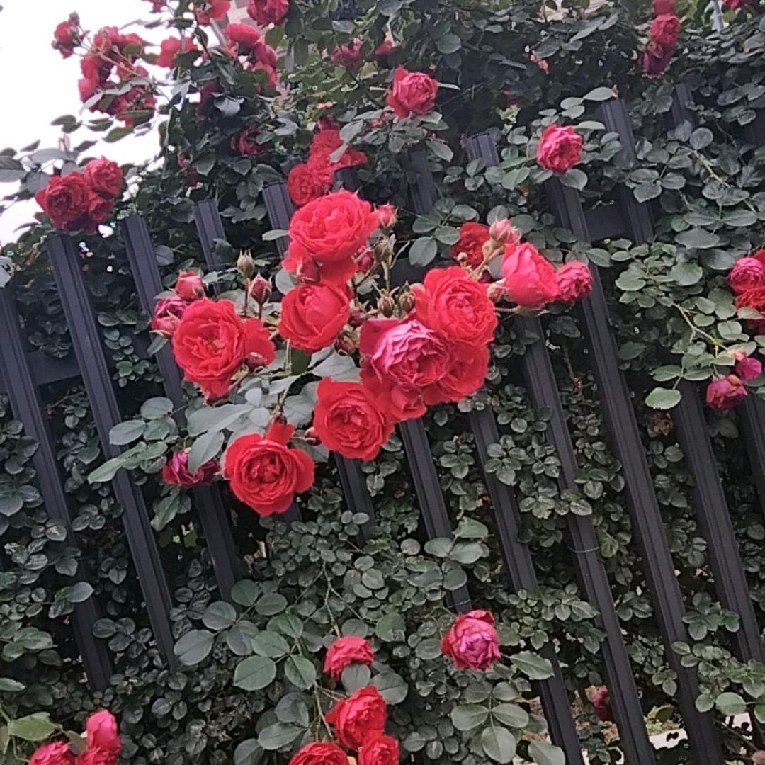 爱财爱己风生水起