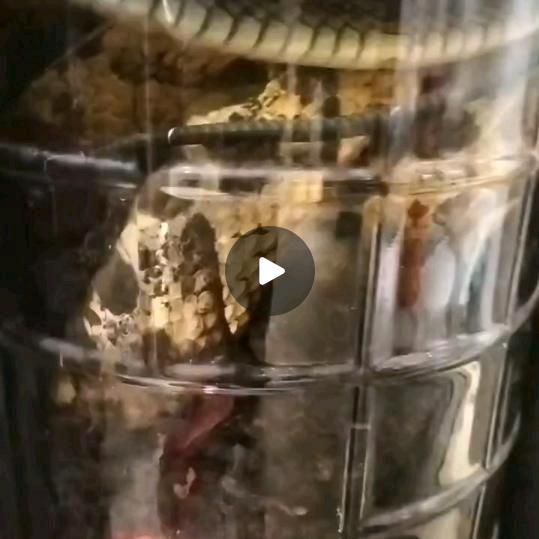 专业腰椎间盘风湿麻木刮瓷开锁