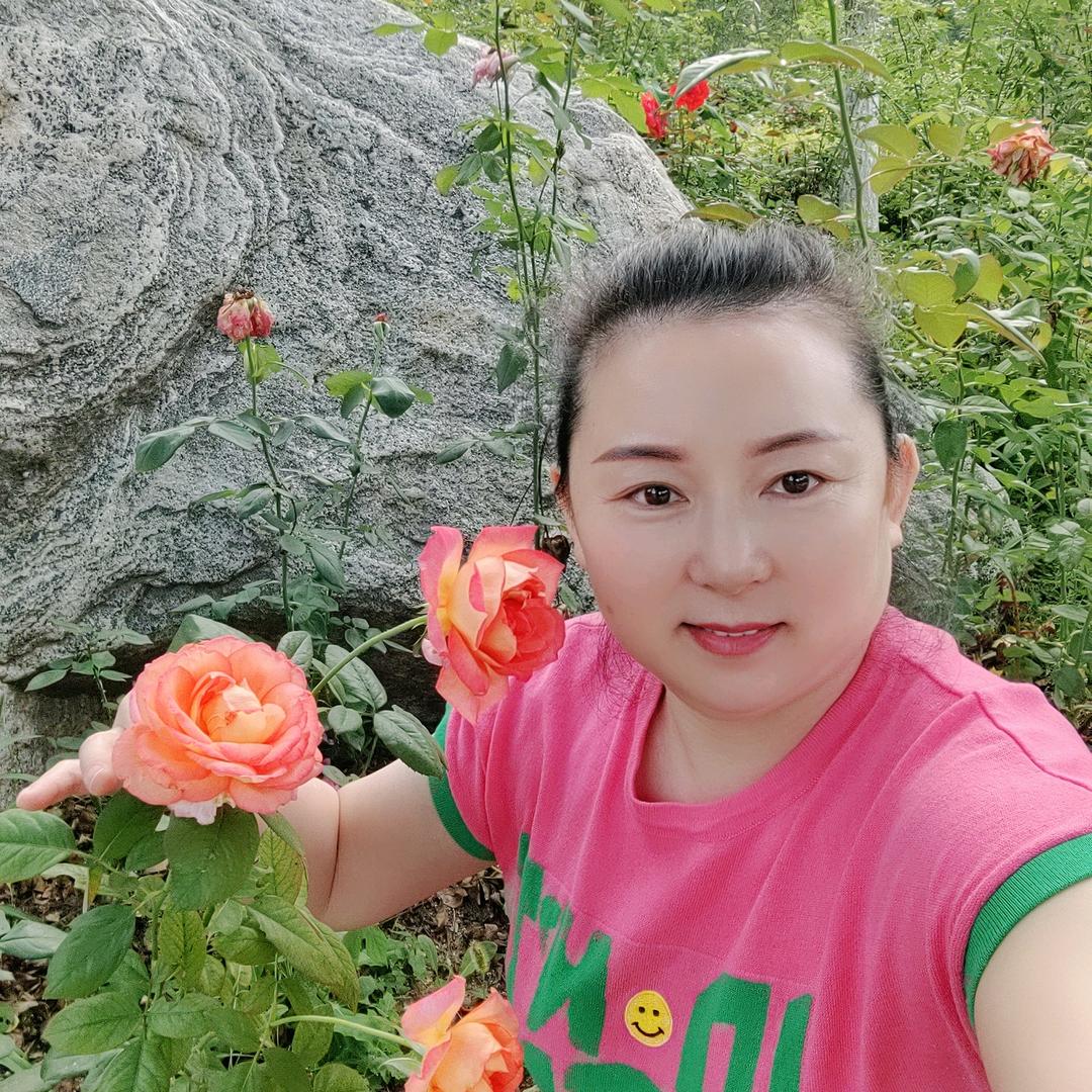 木棉花
