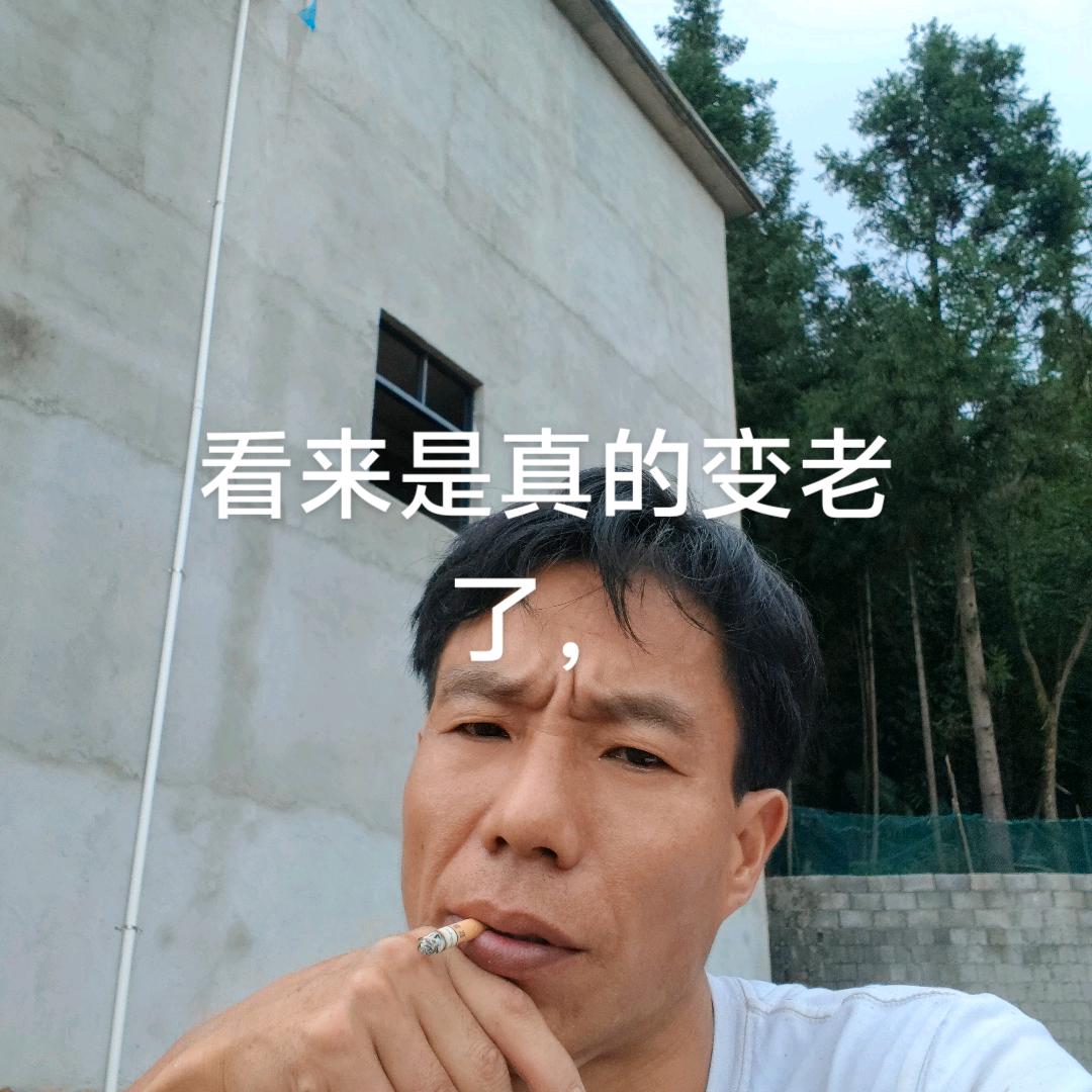 顺奇自然