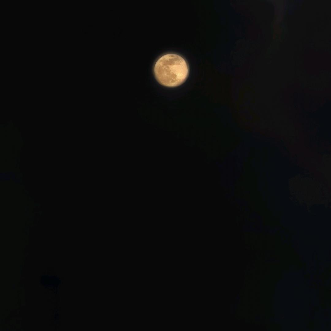 人生