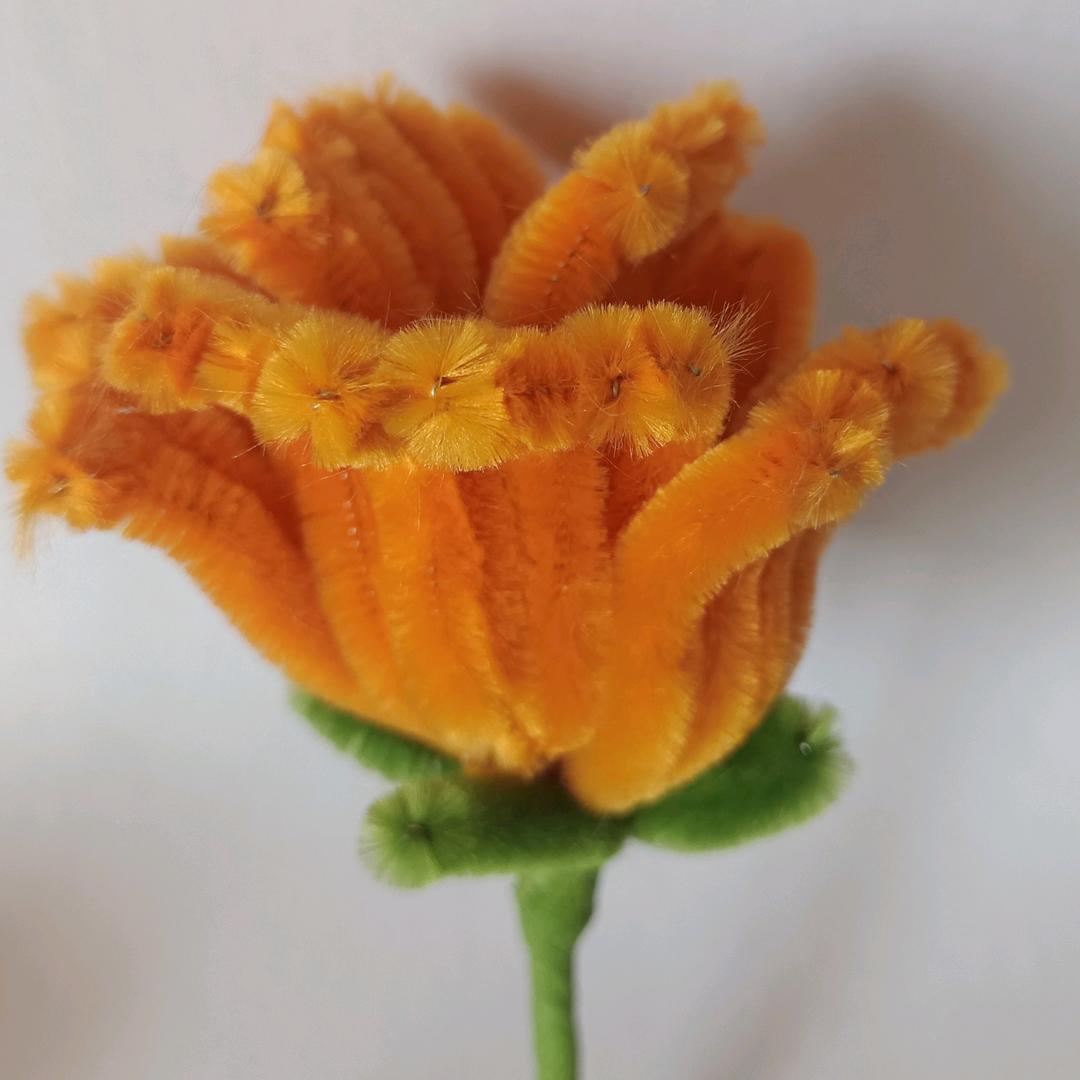 菜菜手作