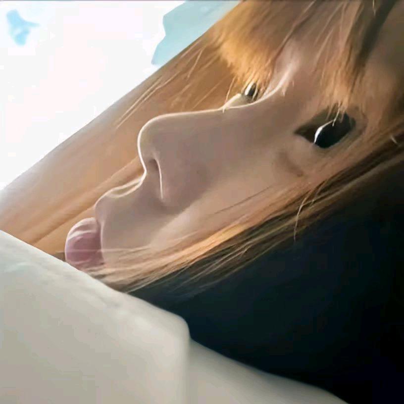 蜀                  6