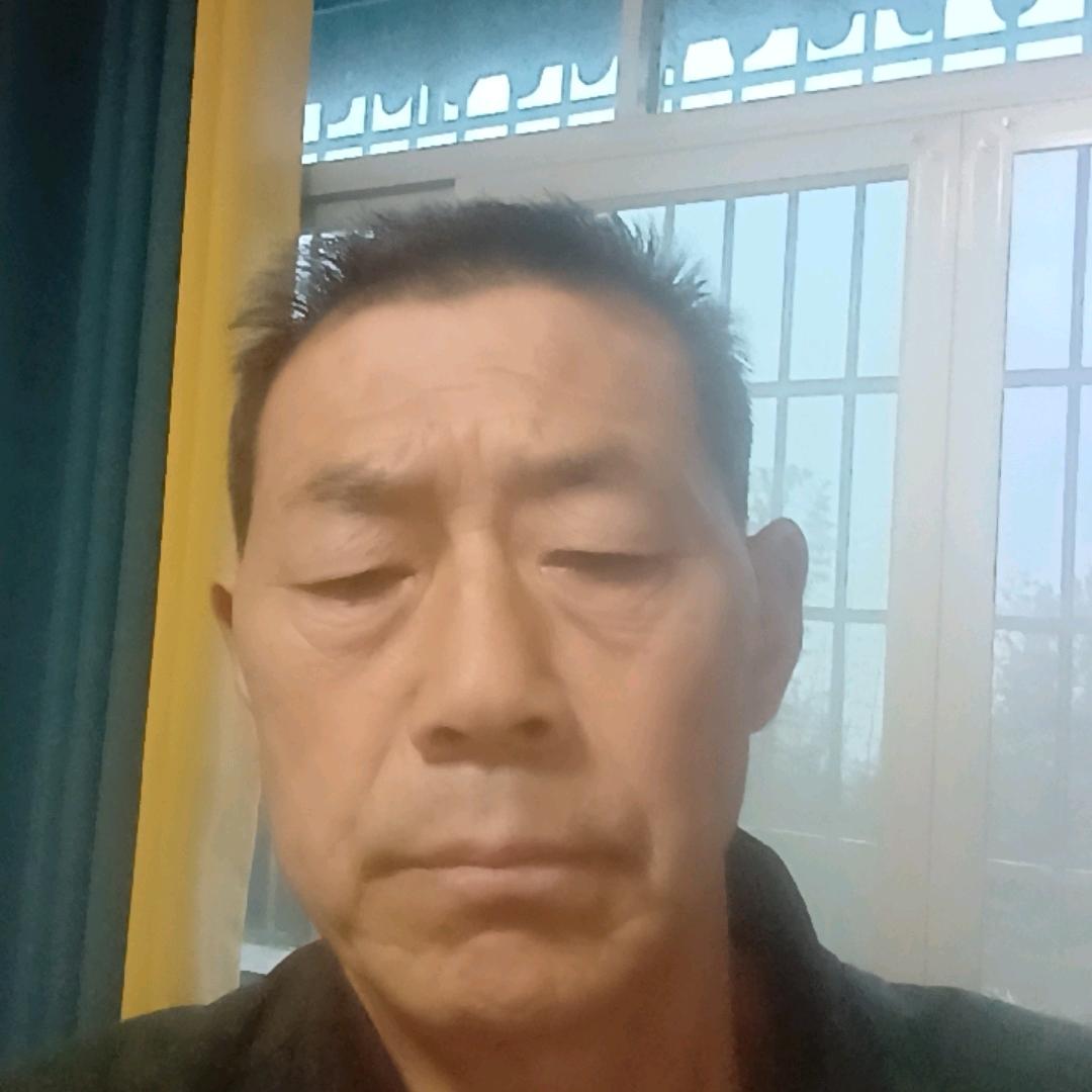 何老爷