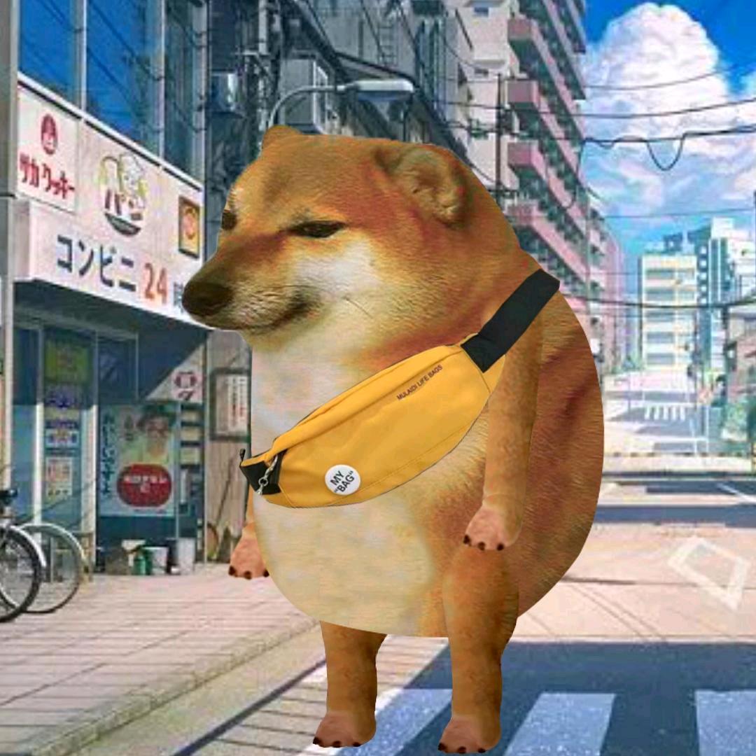 超狗同学