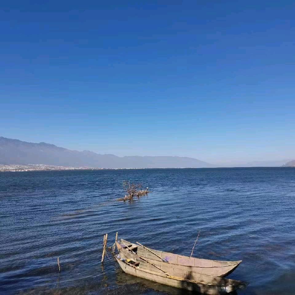 只为遇见最好的自己