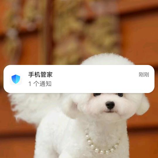 国国