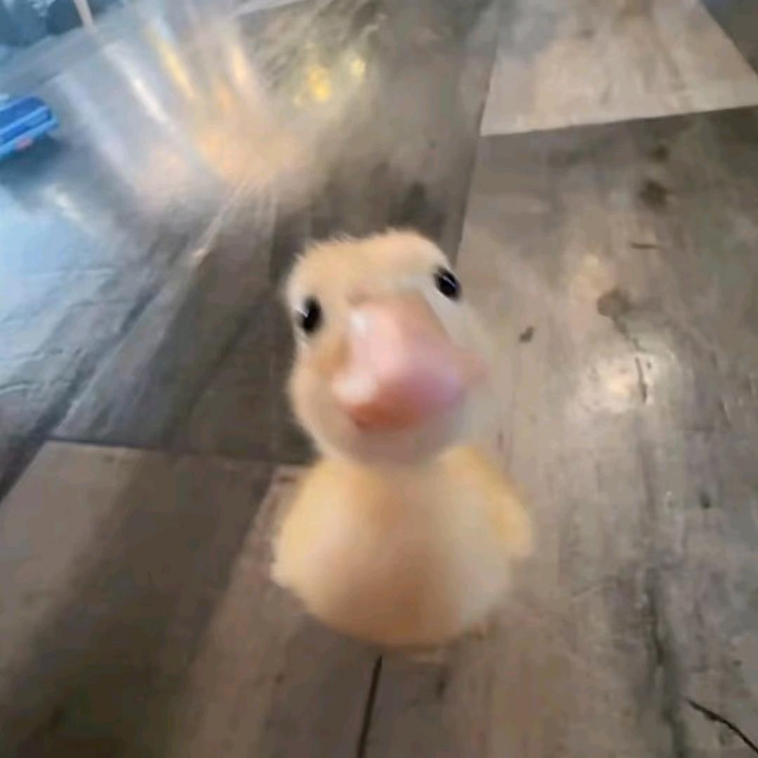 泥嚎
